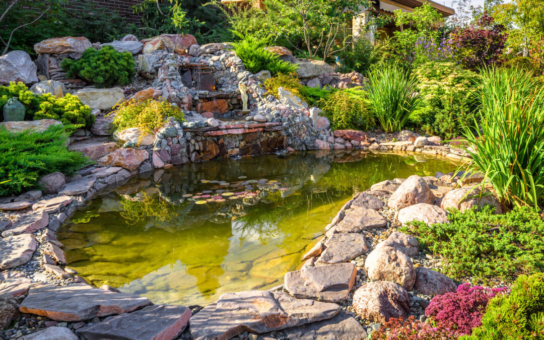 How to Attract More Wildlife with Pond Rocks & More