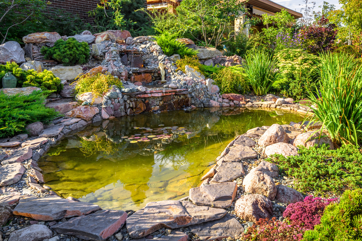 How to Attract More Wildlife with Pond Rocks & More