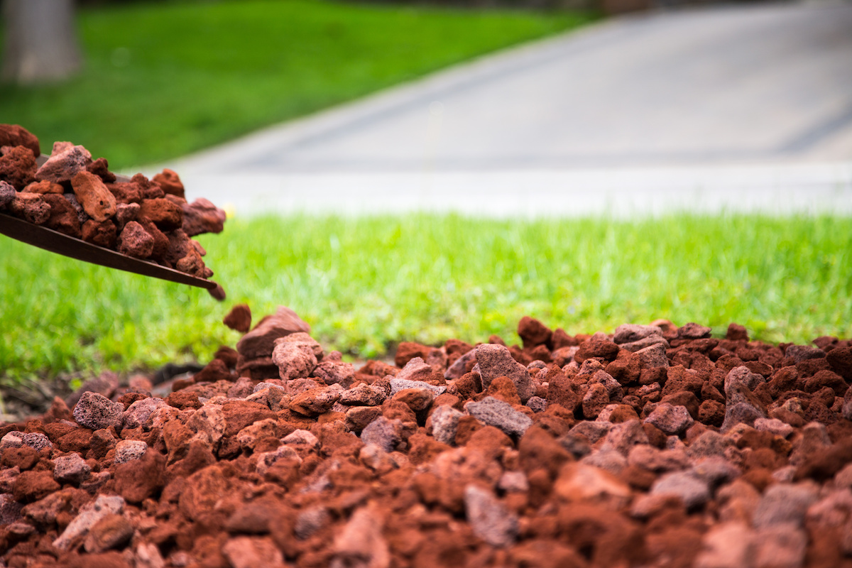 Lava Rocks for Landscaping: Everything You Need to Know
