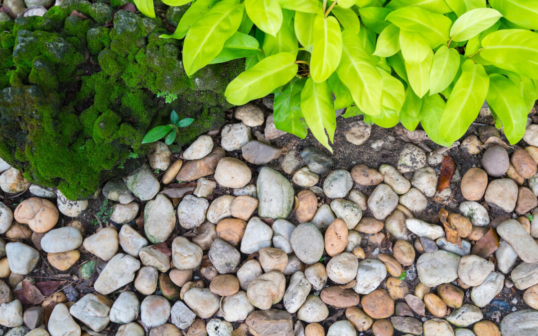 What are the Best Rocks for Landscaping?