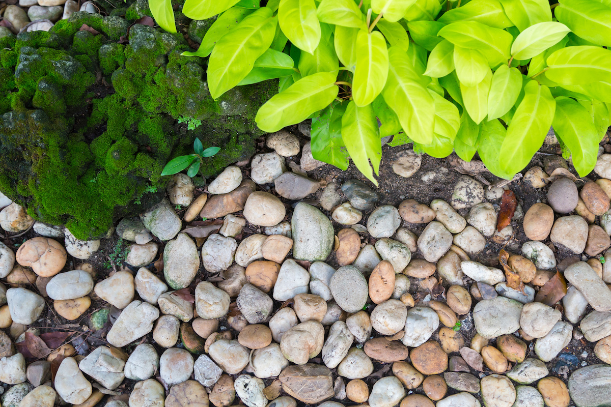 What are the Best Rocks for Landscaping?