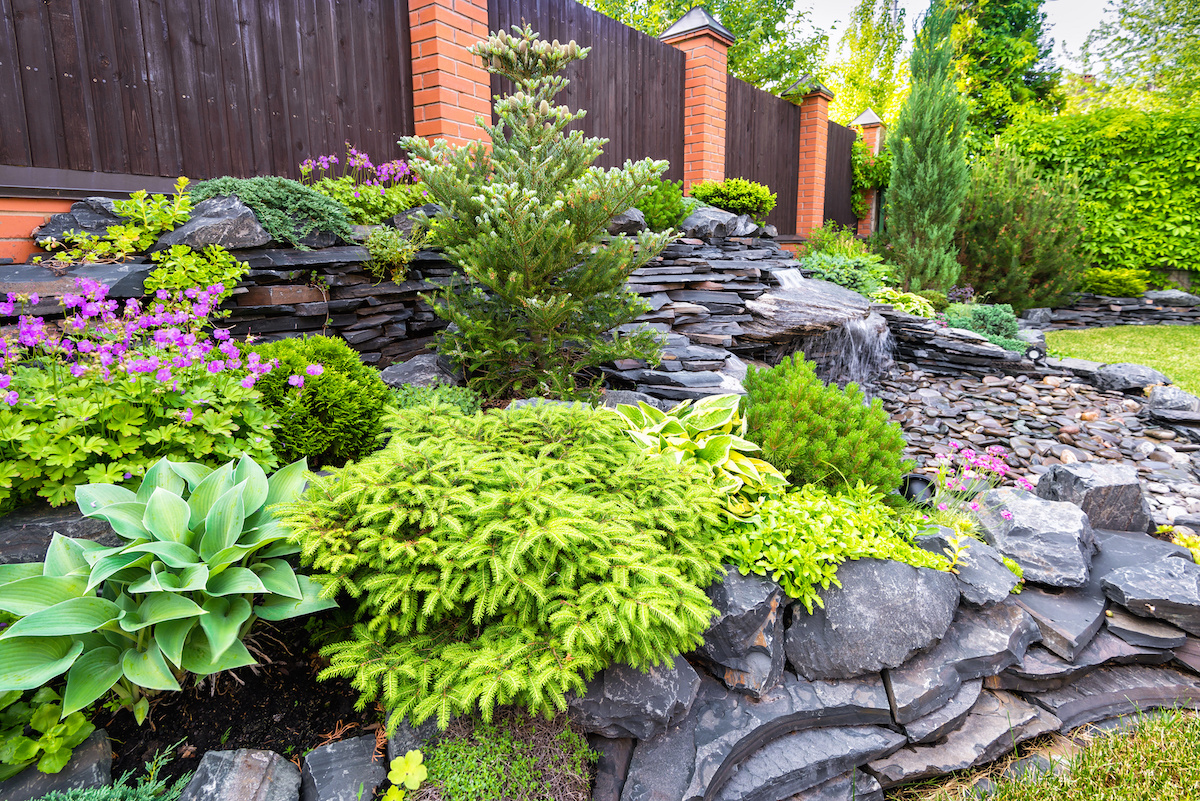 How to Create a Rock Garden: A Guide to Landscaping with Rocks