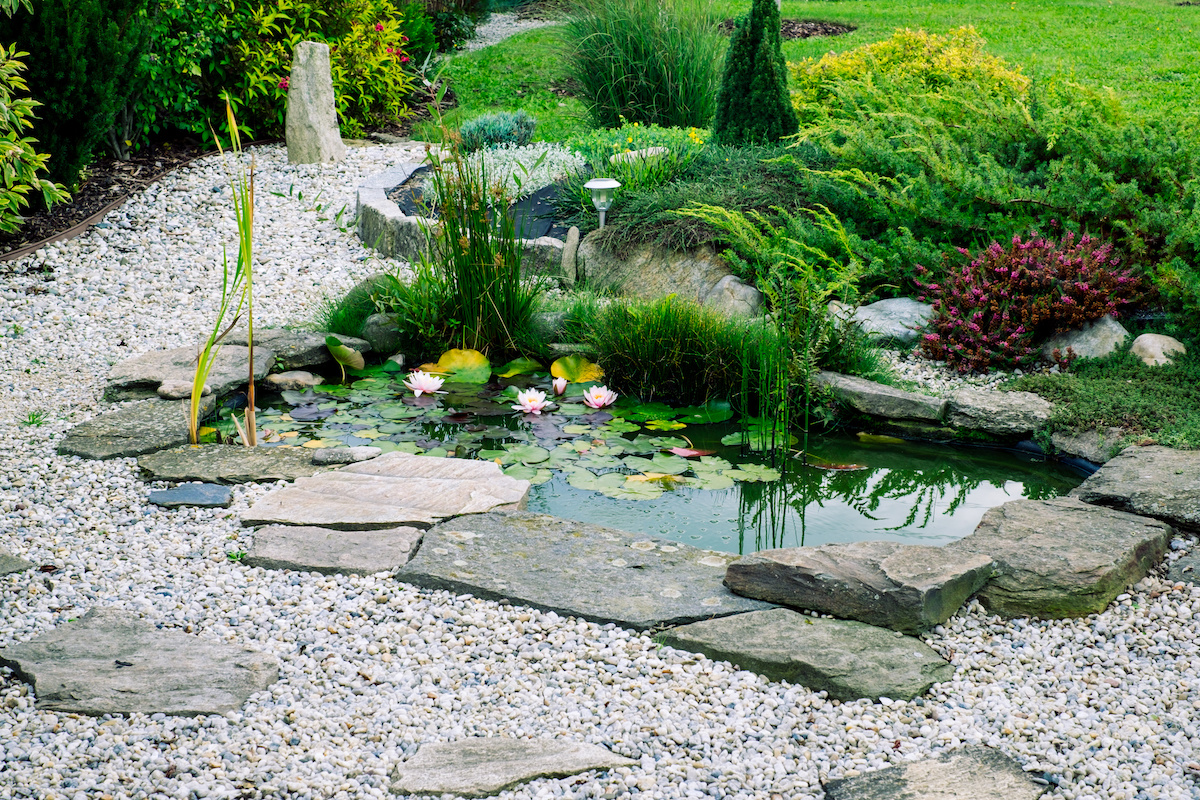 Garden Architecture. Garden Pond. Ornamental Bushes.