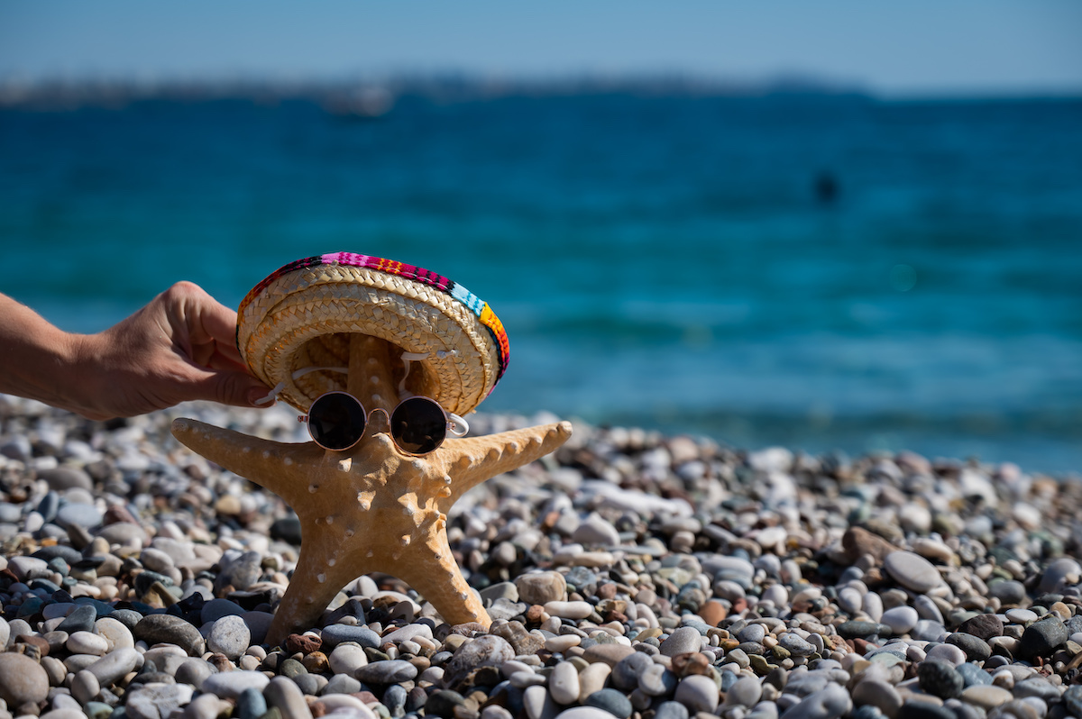 Mighty Mexican Beach Pebbles: How these Stones Bring Your Landscaping to Life