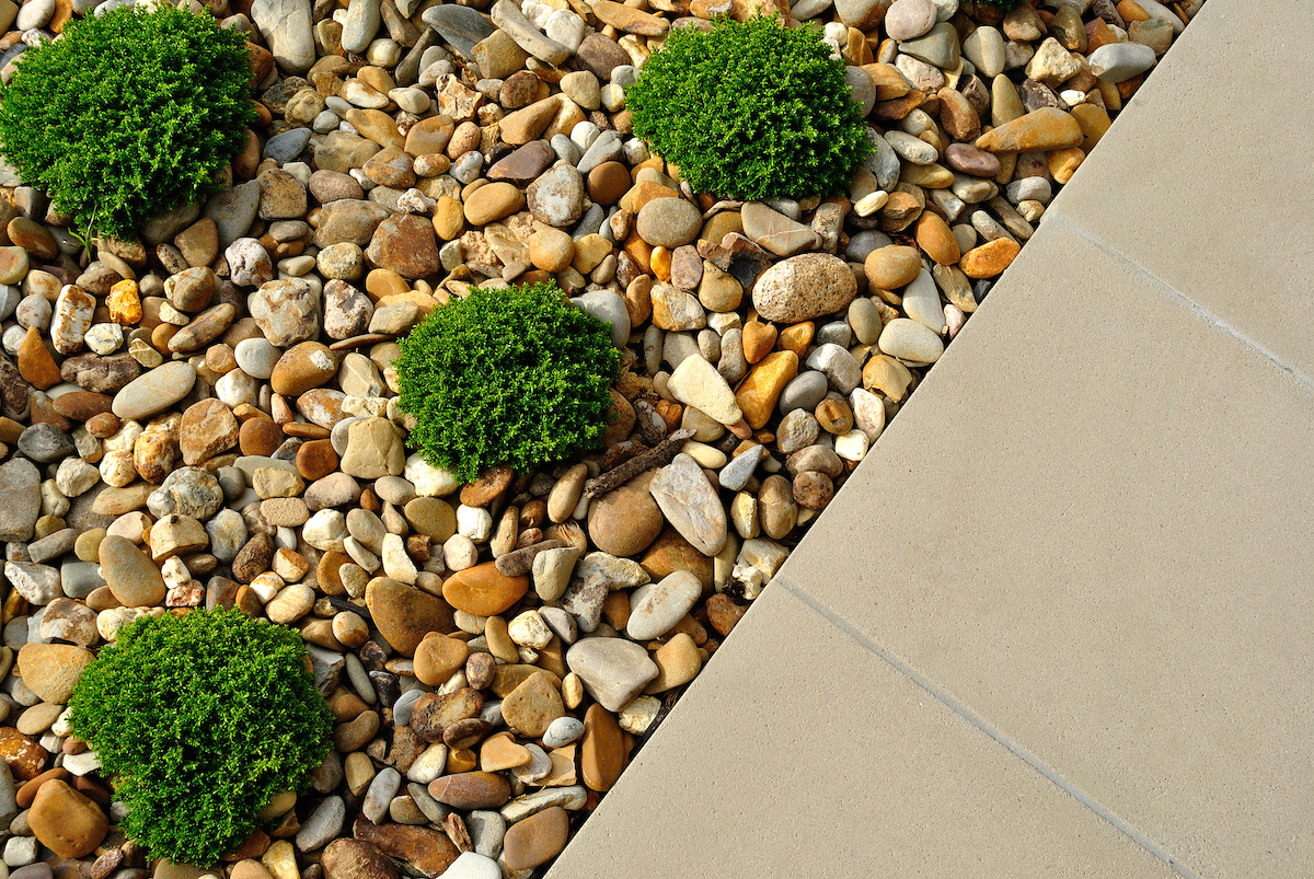 The Best Plants to Pair with River Rocks in Landscaping