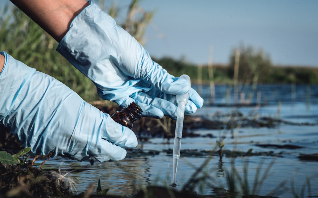 The Basics of Testing Pond Water in Florida