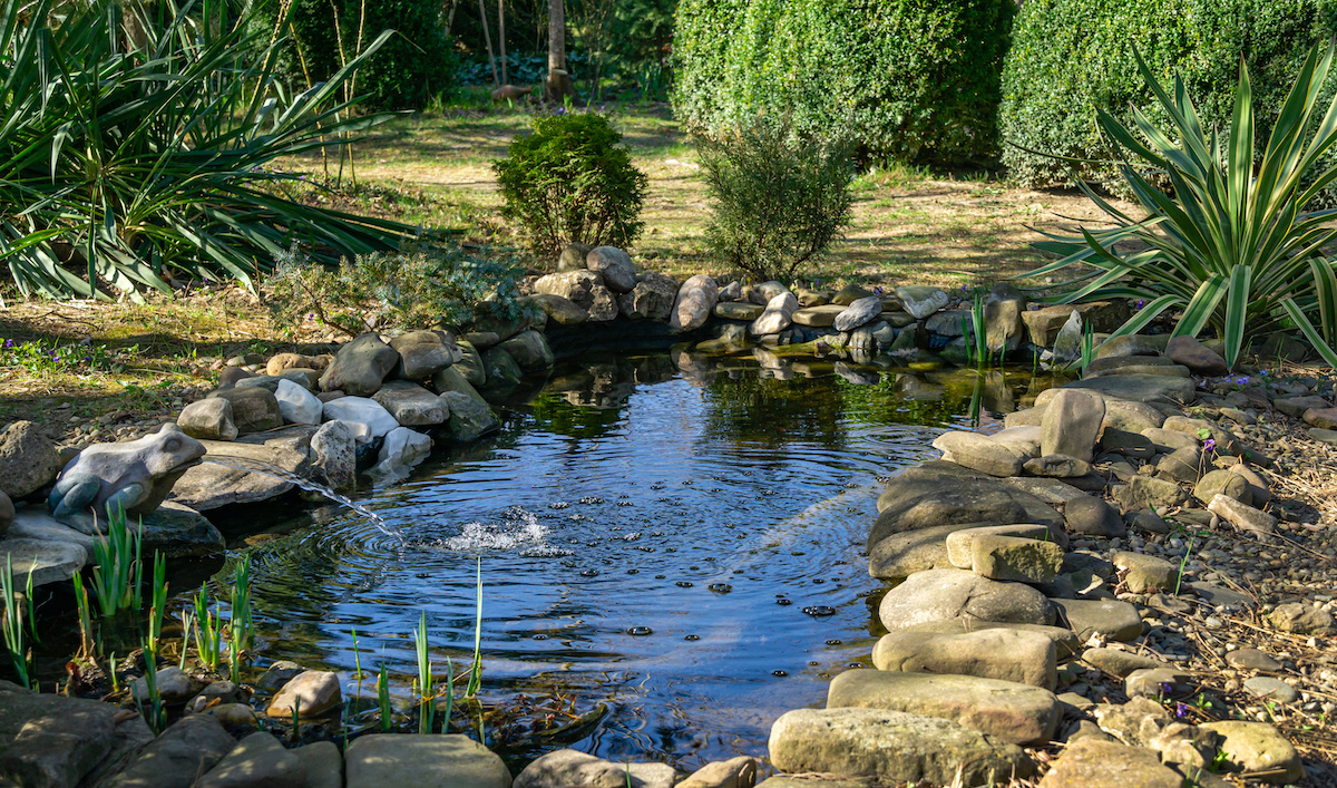 testing pond water