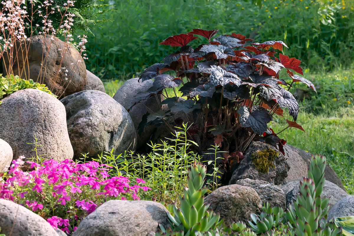 landscaping with boulders