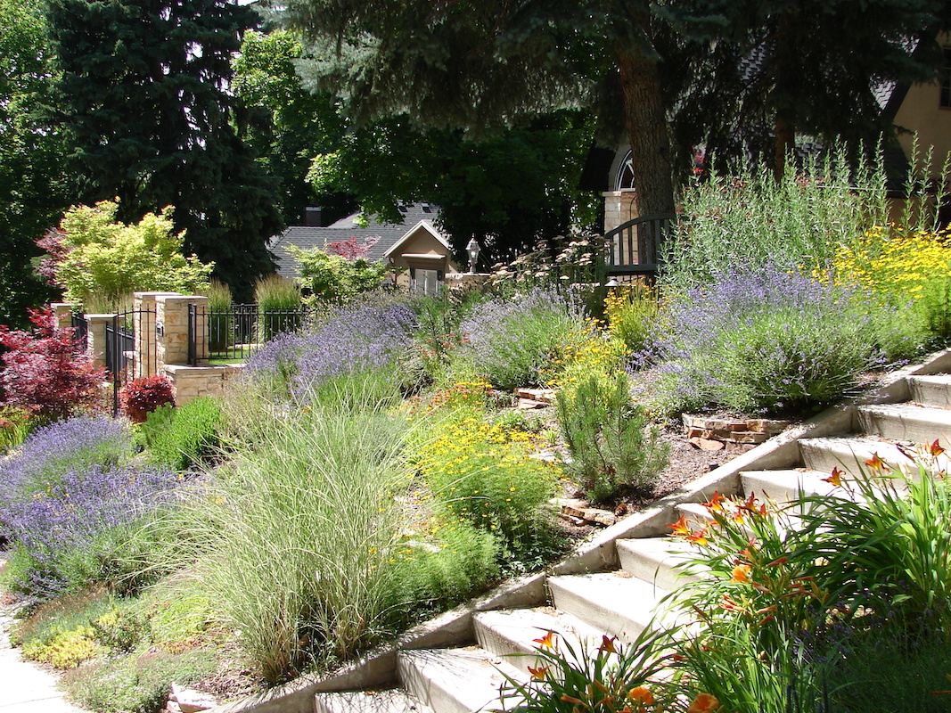 xeriscaping in florida