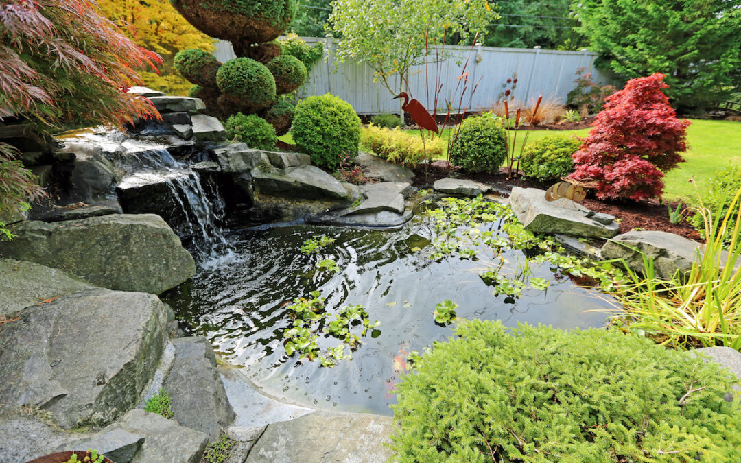 Accenting Your Backyard Pond with Artificial Caves & More: An Ultimate Guide for Florida Homeowners