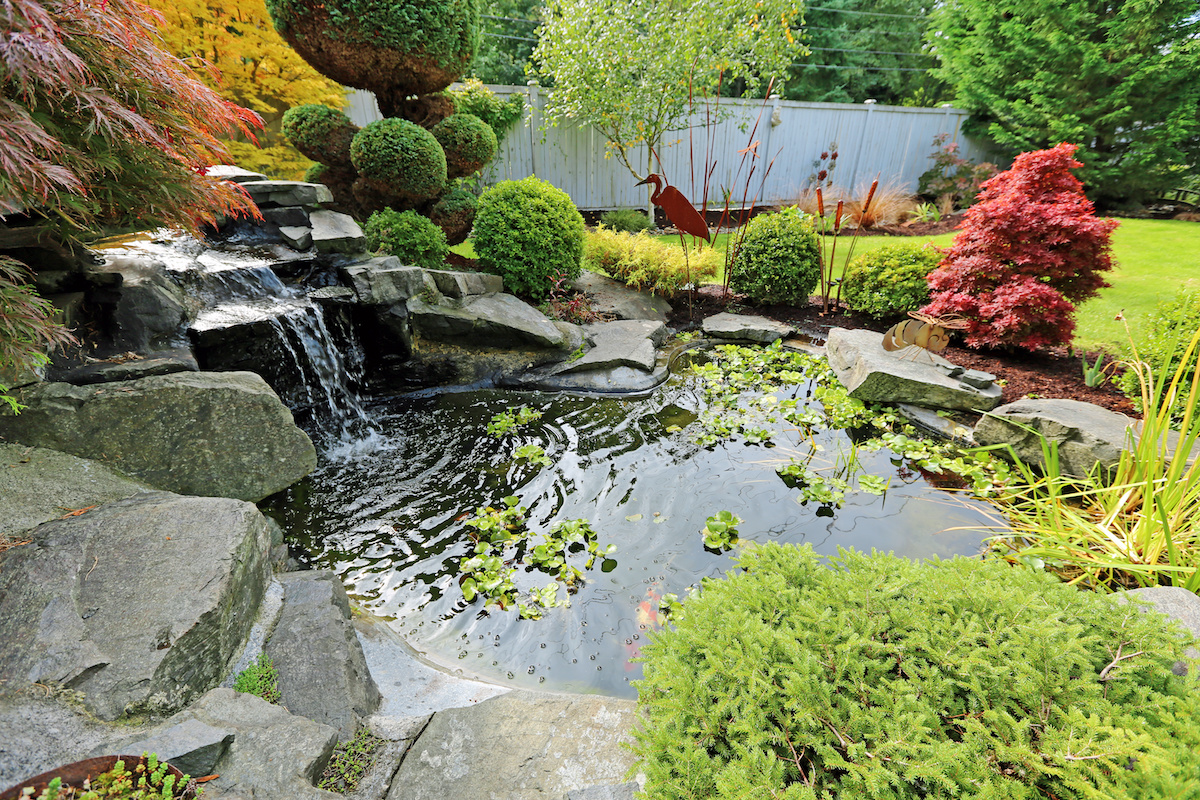 Accenting Your Backyard Pond with Artificial Caves & More: An Ultimate  Guide for Florida Homeowners