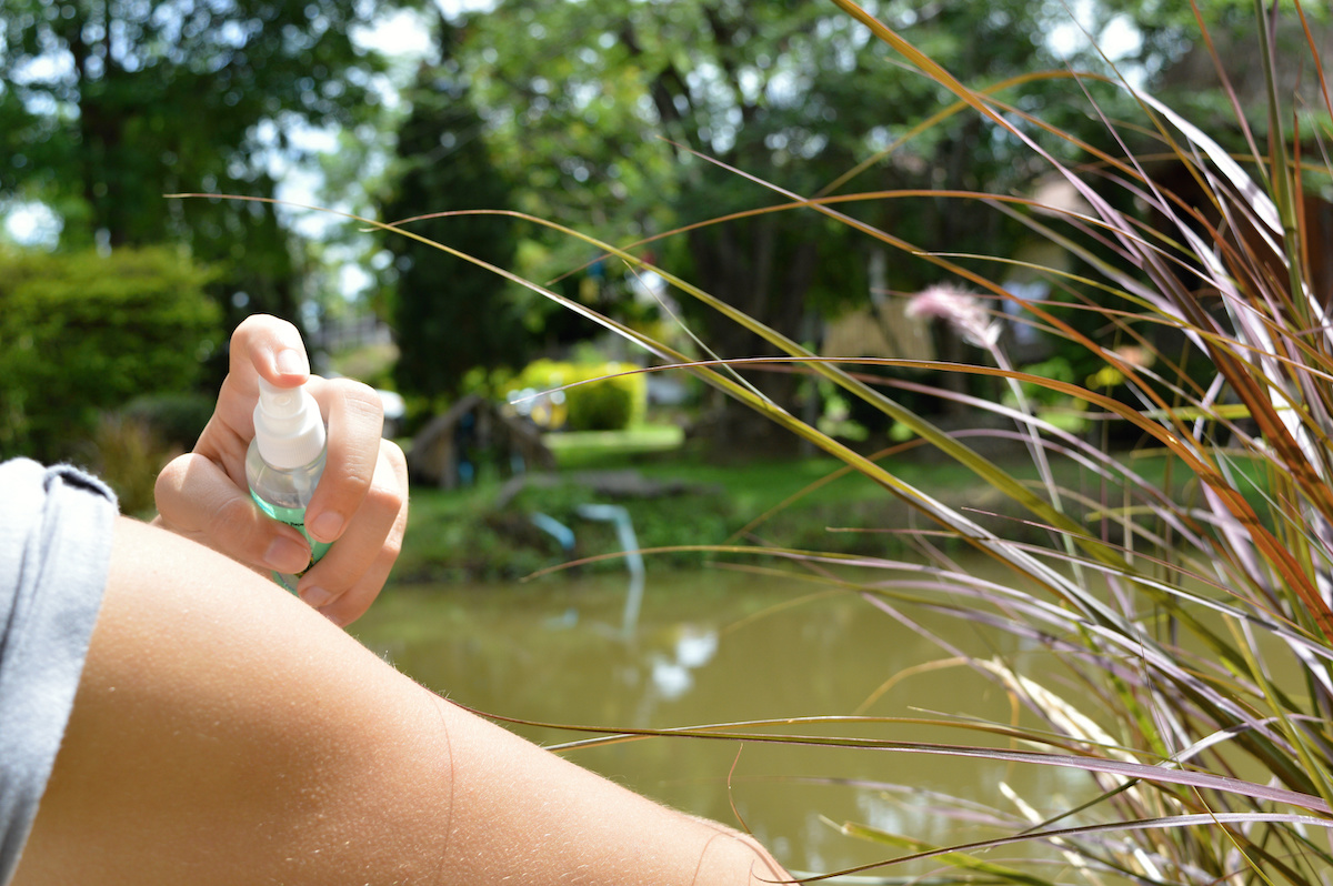 Must-Know Mosquito Control Tips for Florida Ponds